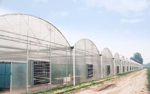 applications/greenhouses/commercial-greenhouse-7.jpg